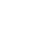 Vector